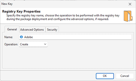 Adding a registry key modification to a project