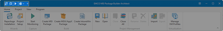 Quick Access Toolbar
