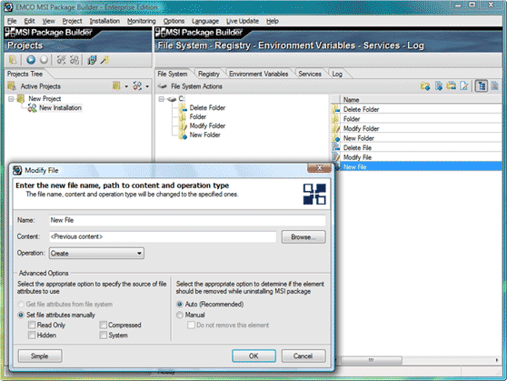 Extended permanence options for file system resources