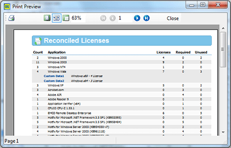 License information report preview