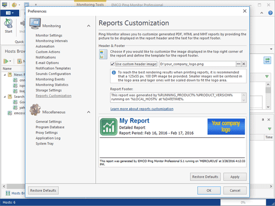 Customizable headers and footers in reports