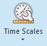 Time Scales